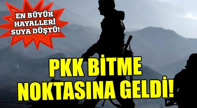 Dünyaca ünlü uzman açıkladı: PKK başaramayacak!