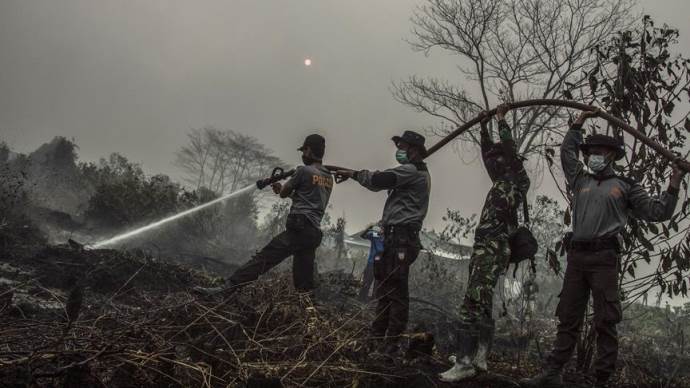 Endonezya&#039;da 190 bin hektar ormanı kül eden yangın kontrol atına alınamıyor
