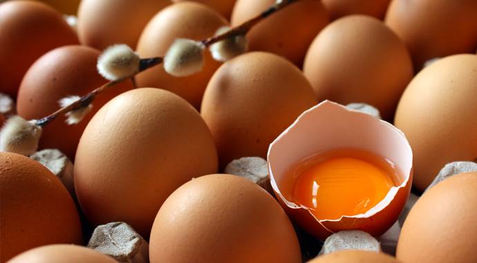 Hedef, kişi başına yıllık 250 yumurta