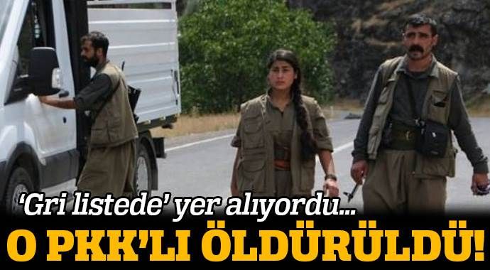 PKK&#039;nın saha sorumlusu öldürüldü