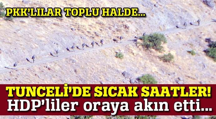 Tunceli&#039;de sıcak saatler! PKK&#039;lı gruplar toplu halde...
