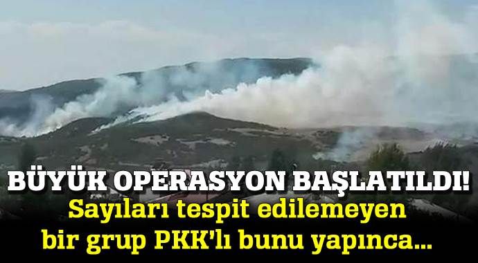 Yol kesen PKK&#039;lılara dev operasyon!