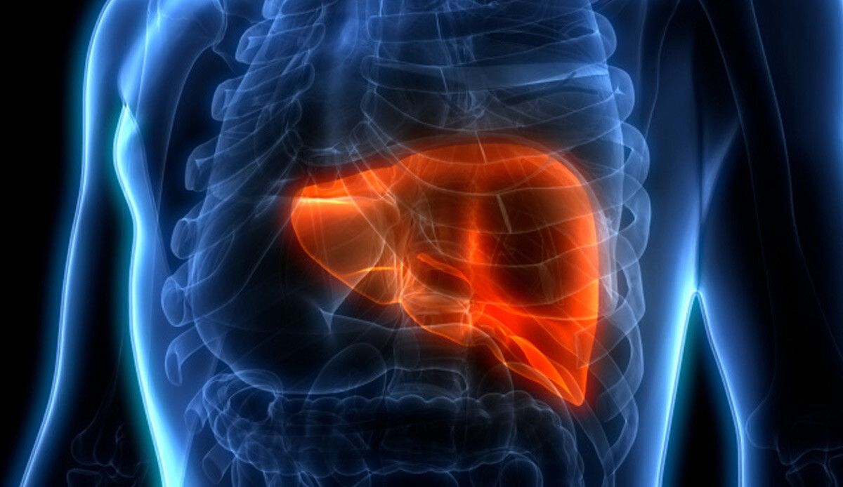 Araştırma ortaya çıkardı: Karaciğer yağlanması beyni vuruyor