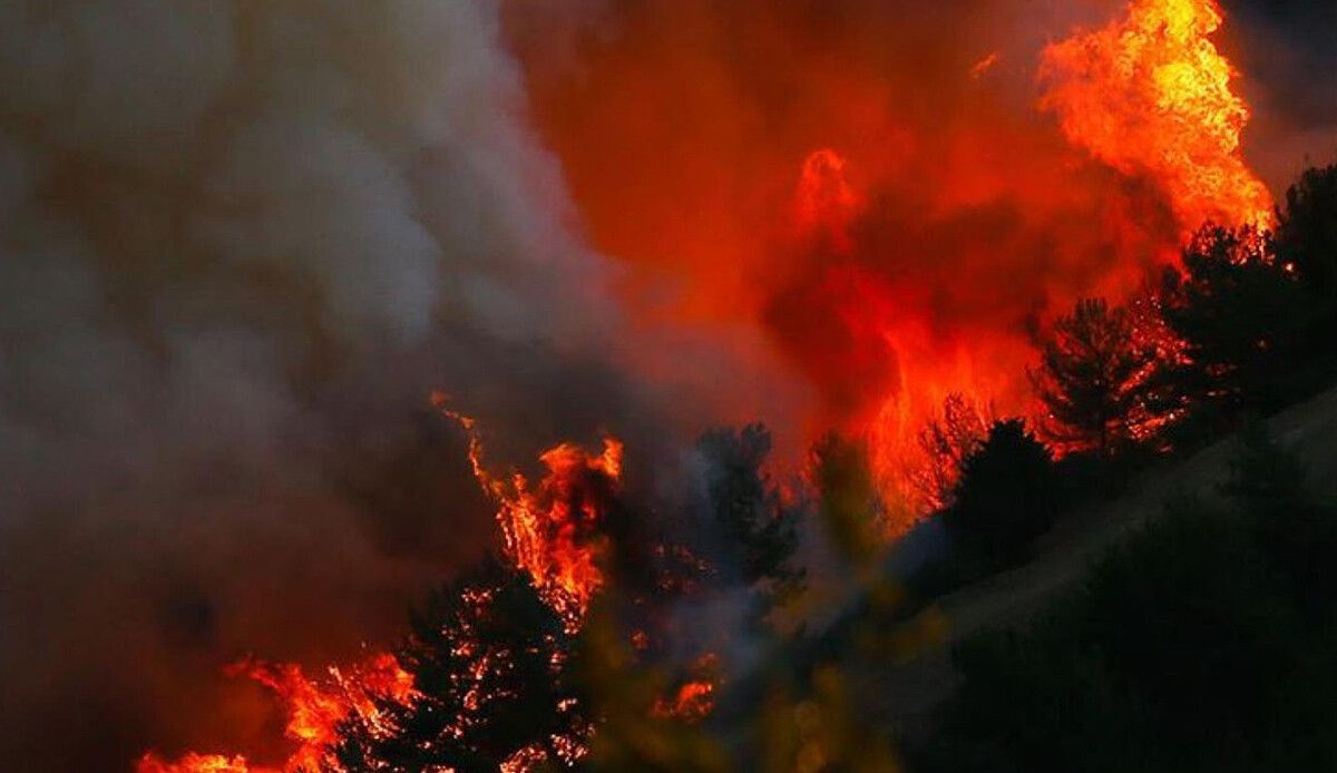 Şili&#039;de orman yangınları: Ölü sayısı 13&#039;e yükseldi