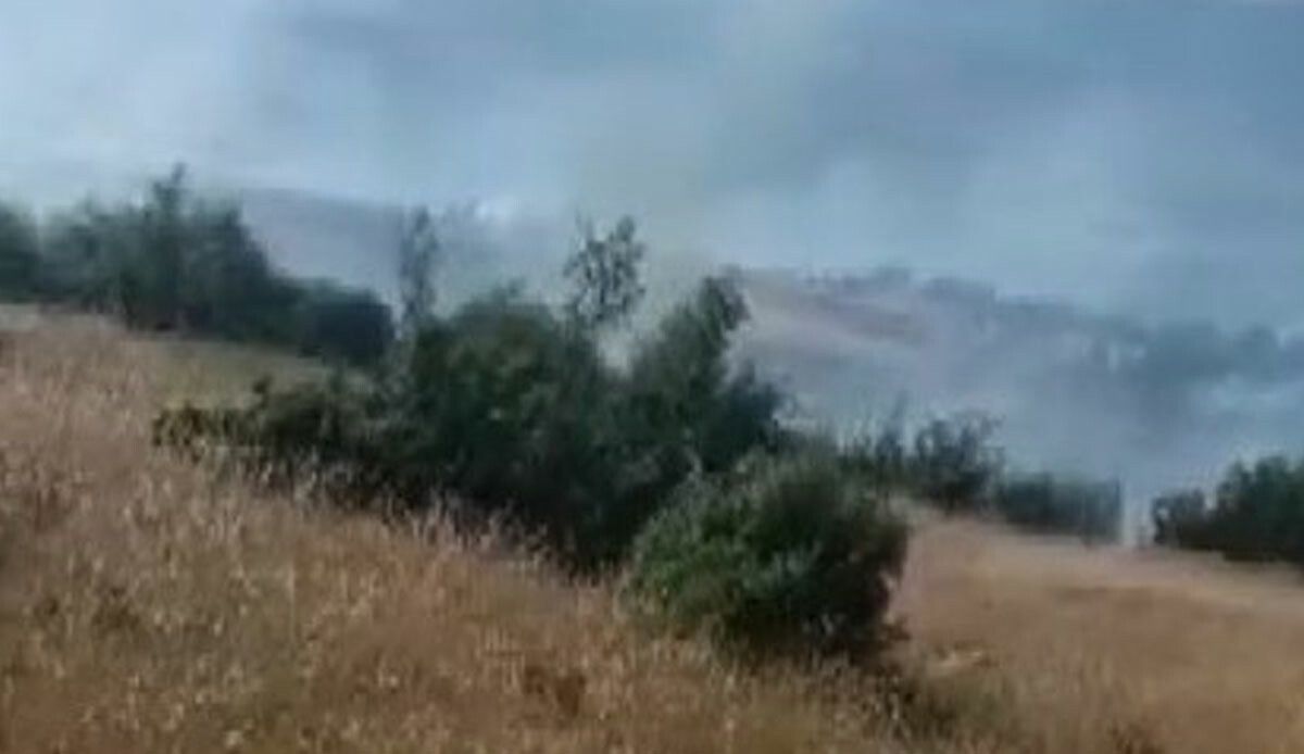 Kilis&#039;te korkutan orman yangını! Hızlı müdahale faciayı önledi