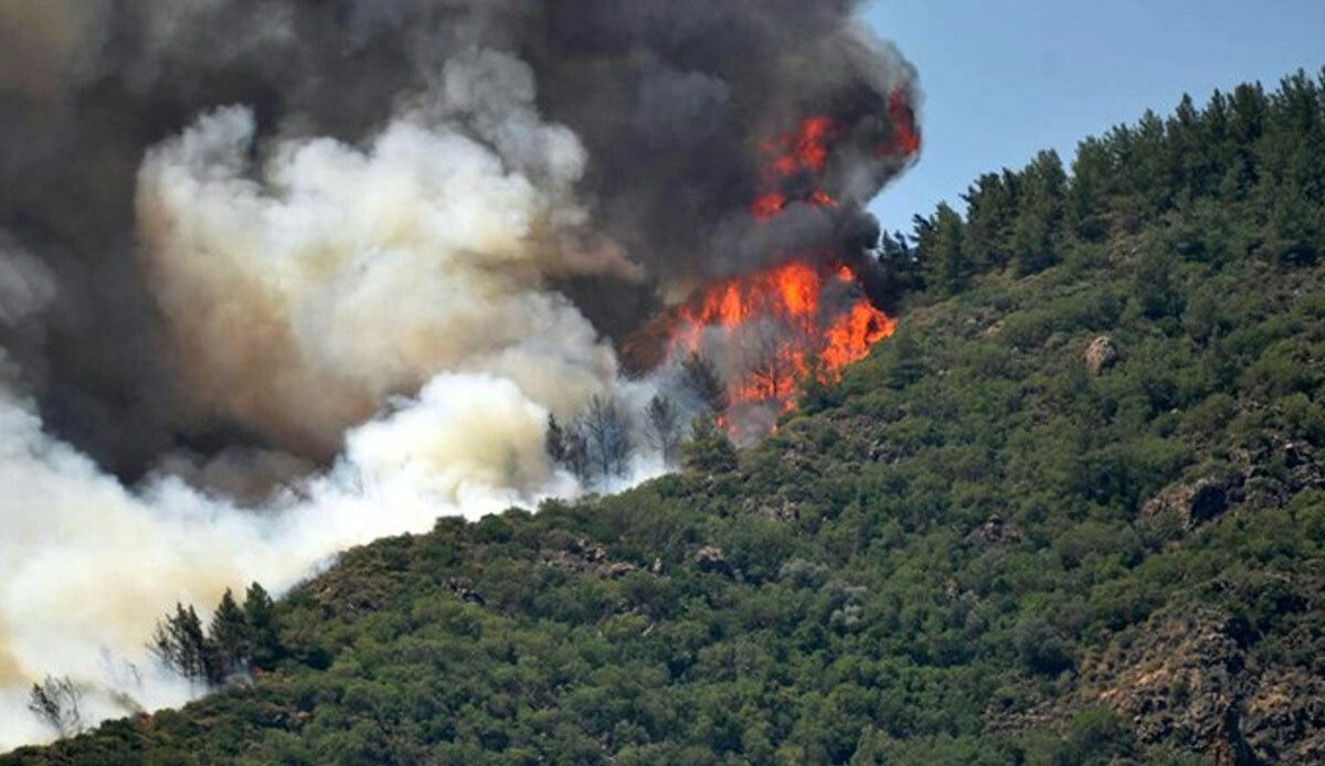 Marmaris&#039;te orman yangını büyüdü! Ekipler müdahale ediyor