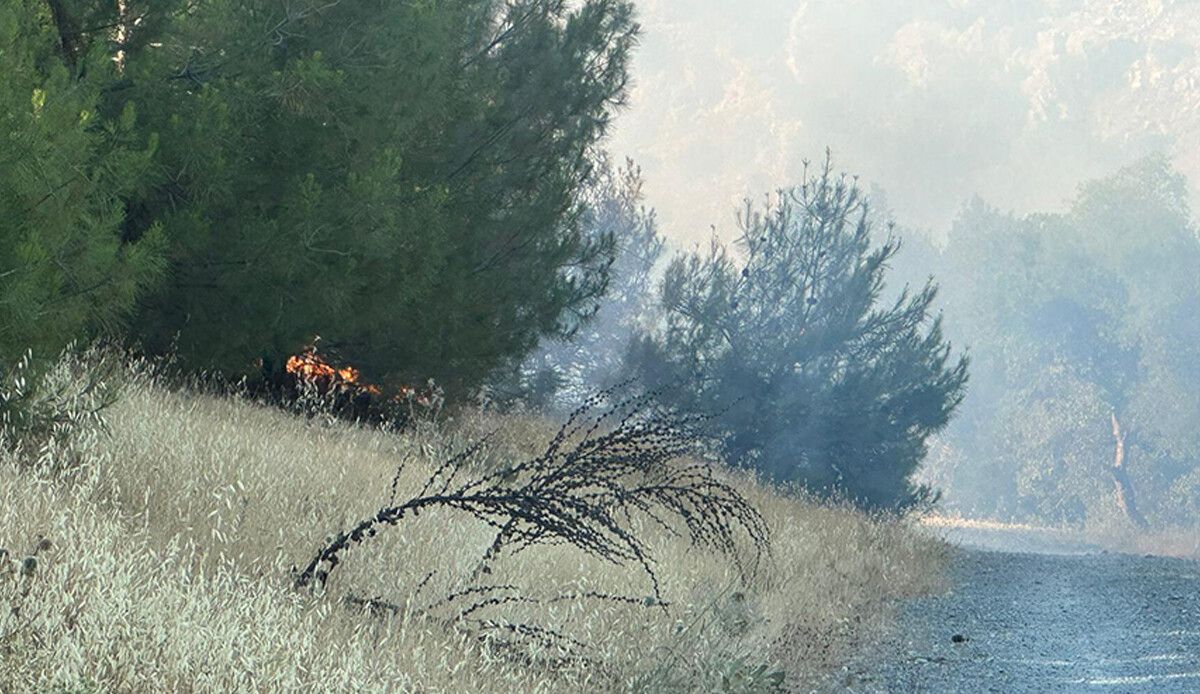 Kilis&#039;teki orman yangını kontrol altına alındı