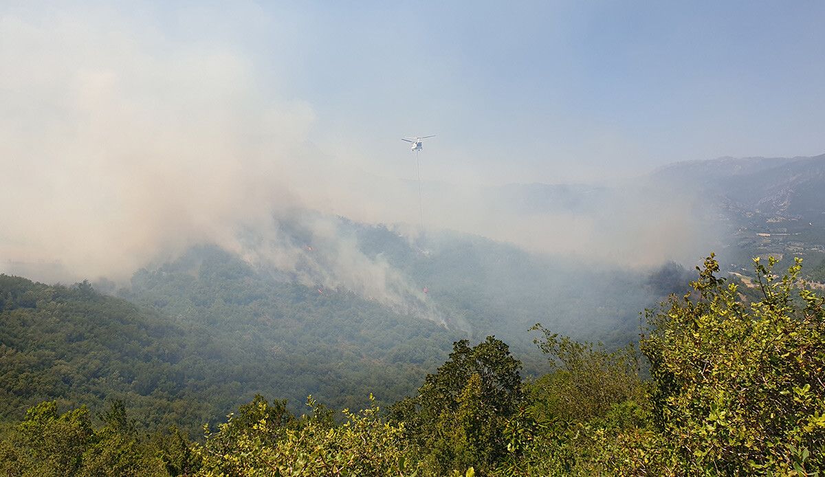 Osmaniye&#039;de orman yangını! 6 ev tahliye edildi. Müdahale sürüyor