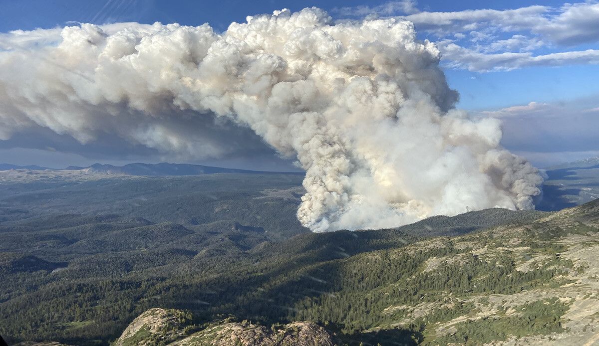 Kanada’da  orman yangınları nedeniyle 1 çocuk hayatını kaybetti