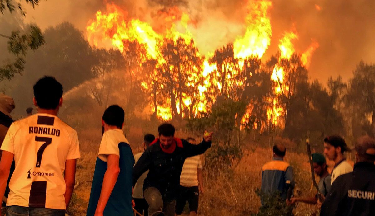 Cezayir&#039;de orman yangınları can alıyor: 15 ölü
