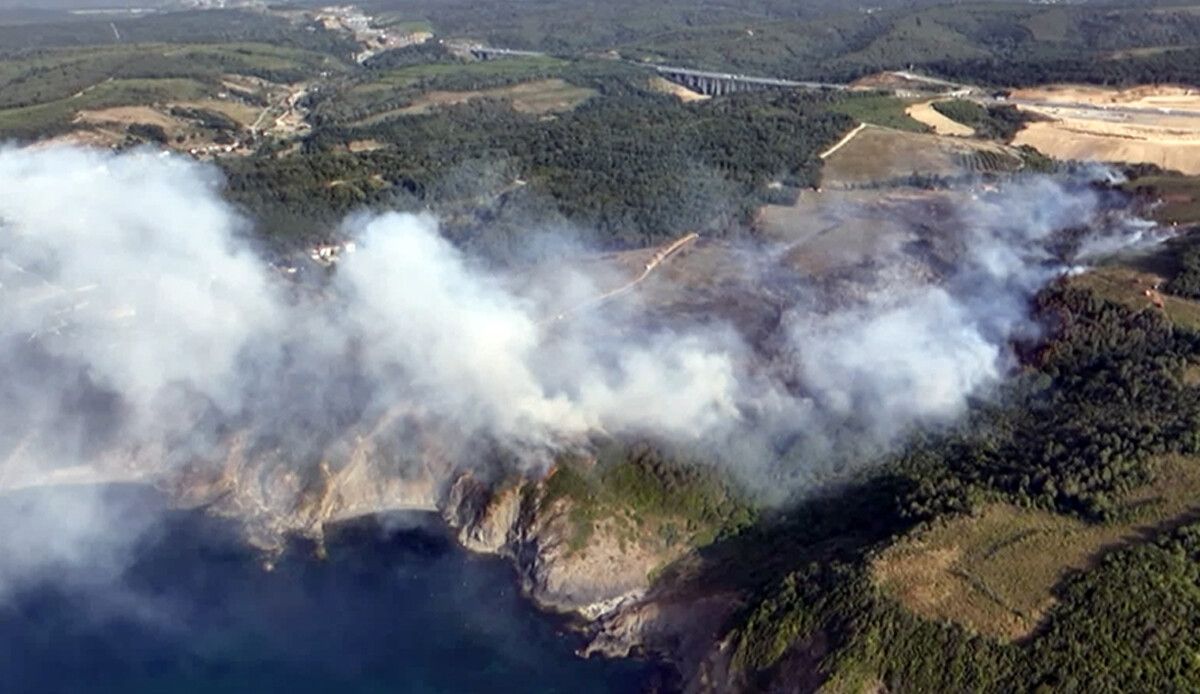Beykoz&#039;daki orman yangını söndürüldü: 13 hektarlık alan zarar gördü