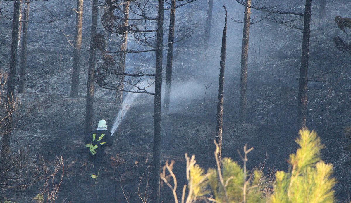 Manisa, Amasya ve Bursa&#039;daki orman yangınları söndürüldü