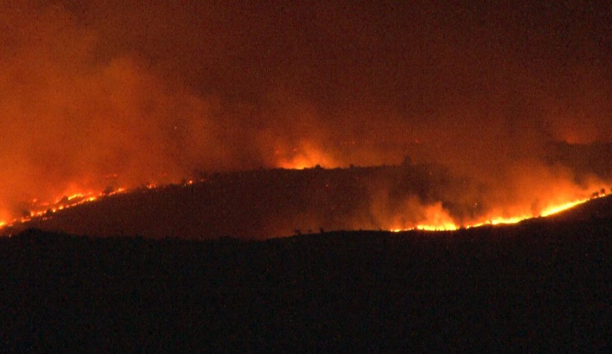Bulgaristan&#039;da orman yangını çıktı: Türk ekipler sınırda önlem aldı