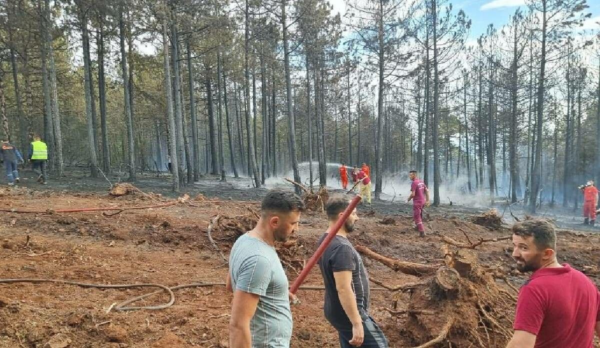 Kütahya’da ormanlık alanda yangın