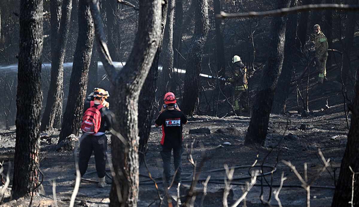 Maltepe&#039;deki orman yangınıyla ilgili 2 kişi gözaltına alındı