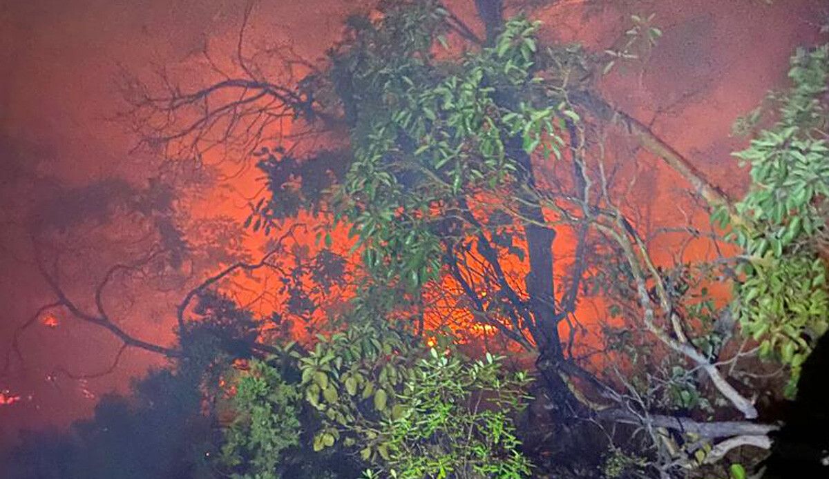 Bilecik&#039;te yıldırım düşen ormanda yangın çıktı: Havadan karadan müdahale var