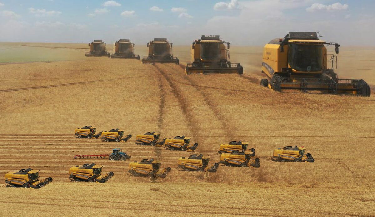 Türk çiftçilerinden rekor üretim! Tarım Bakanı Yumaklı duyurdu: TİGEM tonlarca hububat hasat etti