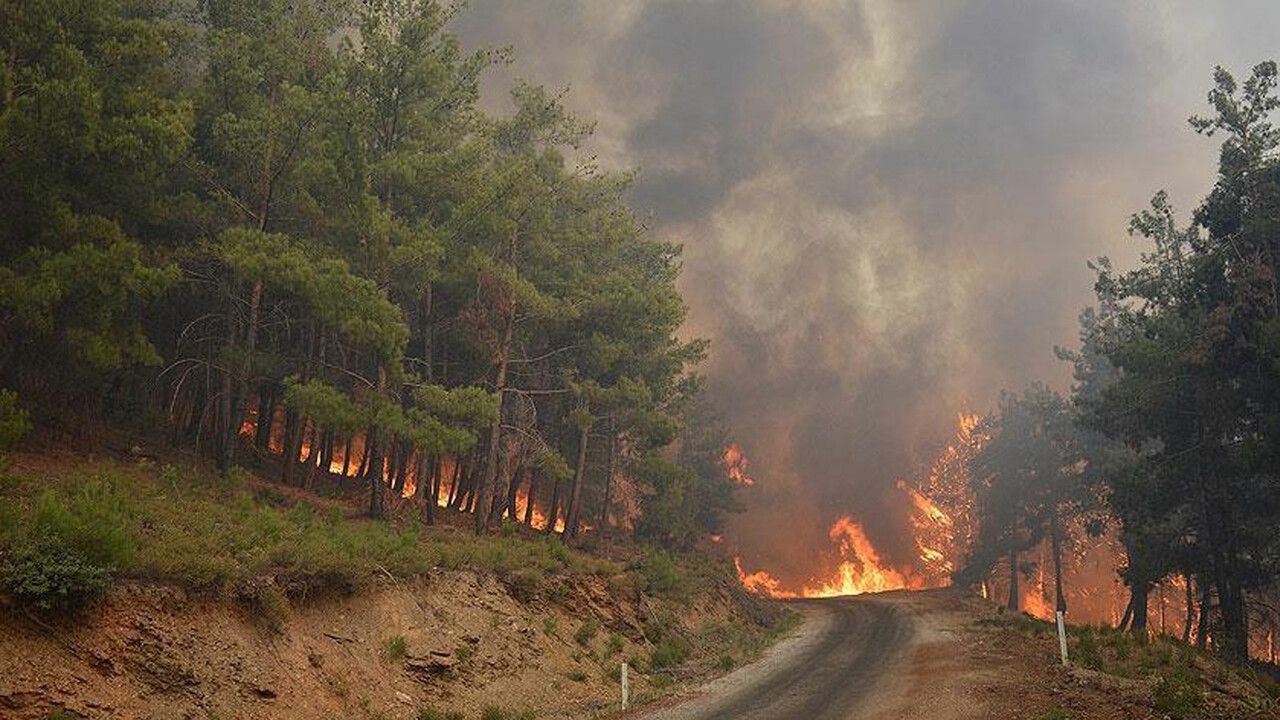 Manavgat&#039;ta korkutan orman yangını! Ekipler müdahale ediyor
