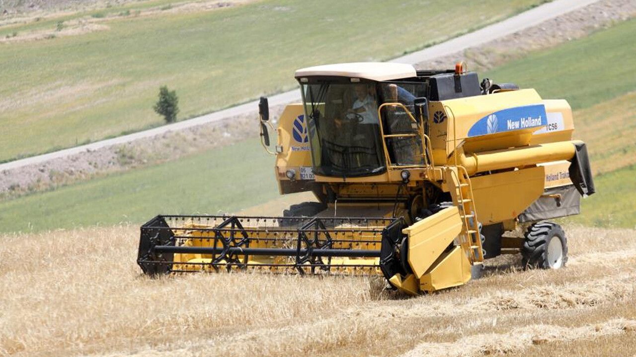 Belediyeden çiftçilere buğday desteği! Yüzde 50 hibeli olacak, şartlar belli oldu