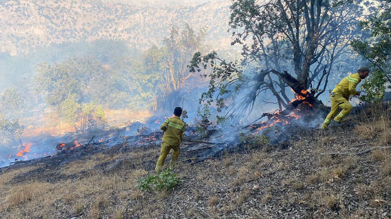 Şırnak&#039;ta 3 ayrı noktada orman yangını! Alevler 7 saat sonra kontrol altına alındı