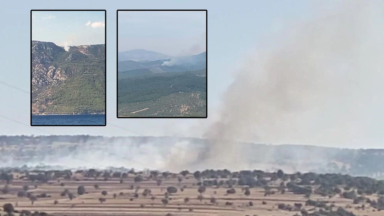 Son dakika: Eskişehir, Muğla ve Manisa&#039;da orman yangını! Alevler söndürüldü