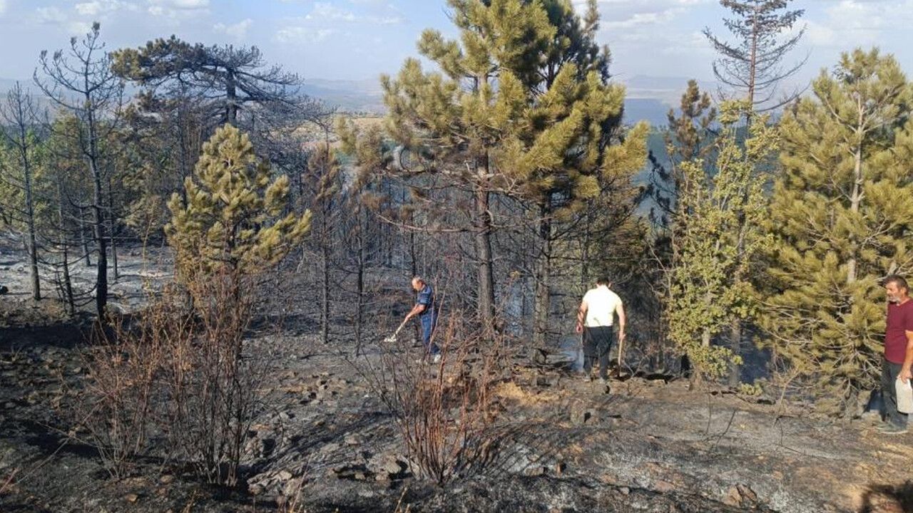 Konya&#039;da orman yangını çıktı! Havadan ve karadan müdahaleler ile alevler söndürüldü