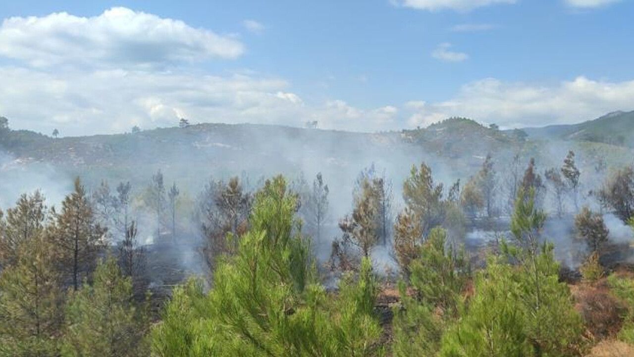 Kazdağları’nda korkutan orman yangını