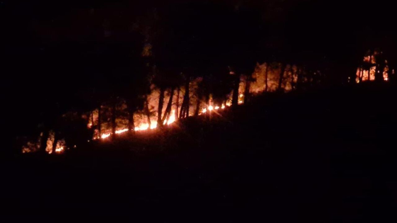 Adana Kozan&#039;daki orman yangını kontrol altına alındı: Soğutma çalışmaları sürüyor