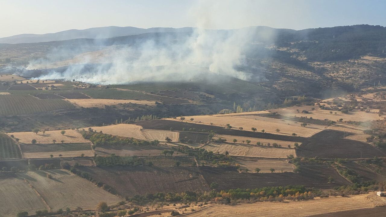 Eskişehir&#039;de orman yangını kontrol altında