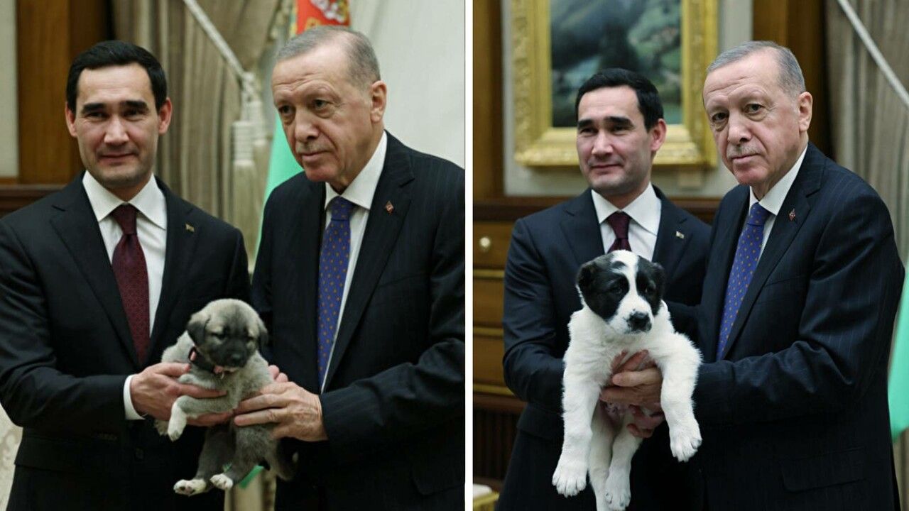 Cumhurbaşkanı Erdoğan ve Türkmenistan lideri arasında gülümseten kareler: Alabay’ı aldı Kangal’ı verdi!