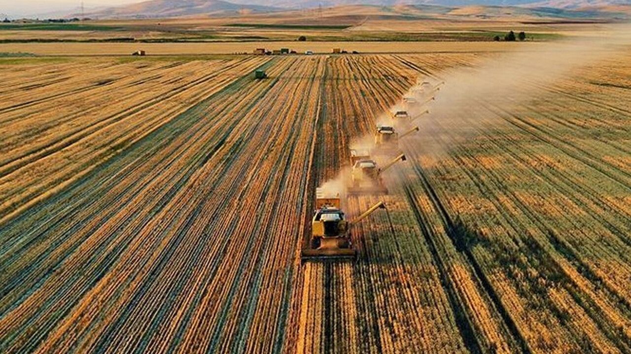 Tarım bakanlığı atıl tarlaları değerlendirdi, 120 ton buğday tohumu desteği çiftçinin yüzünü güldürdü
