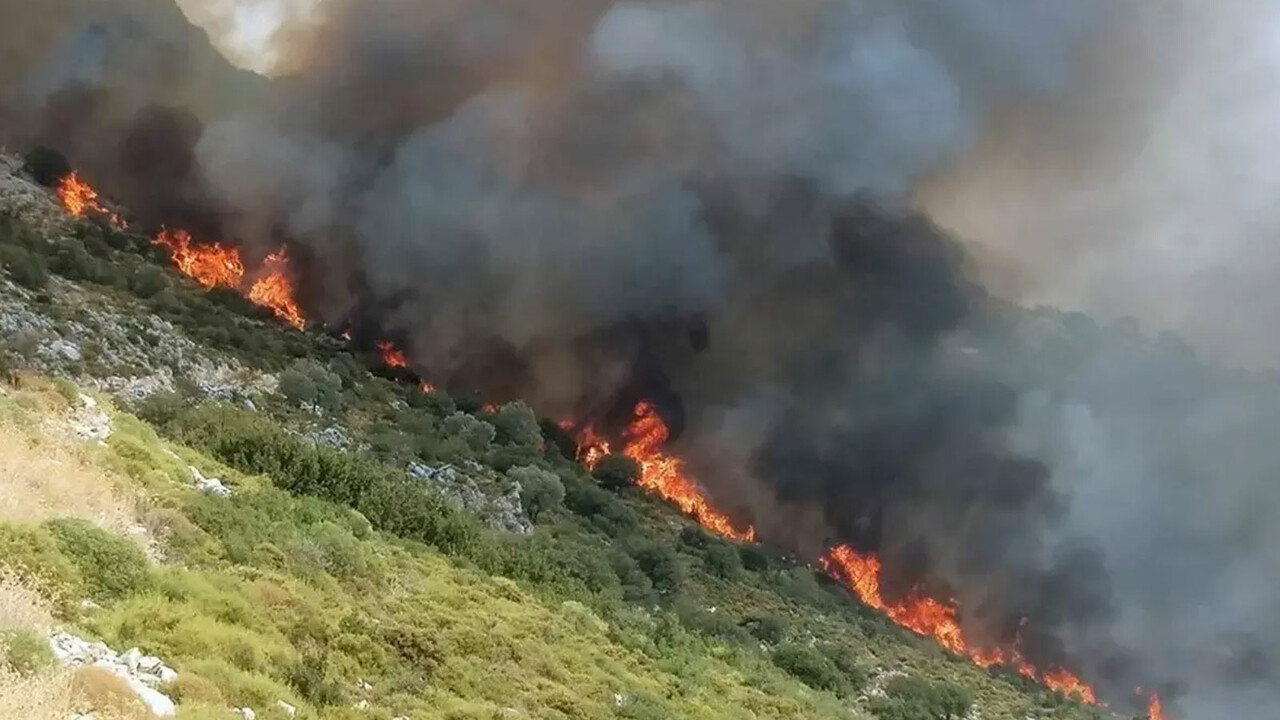 Muğla&#039;da korkutan orman yangını! Karadan ve havadan müdahale edildi