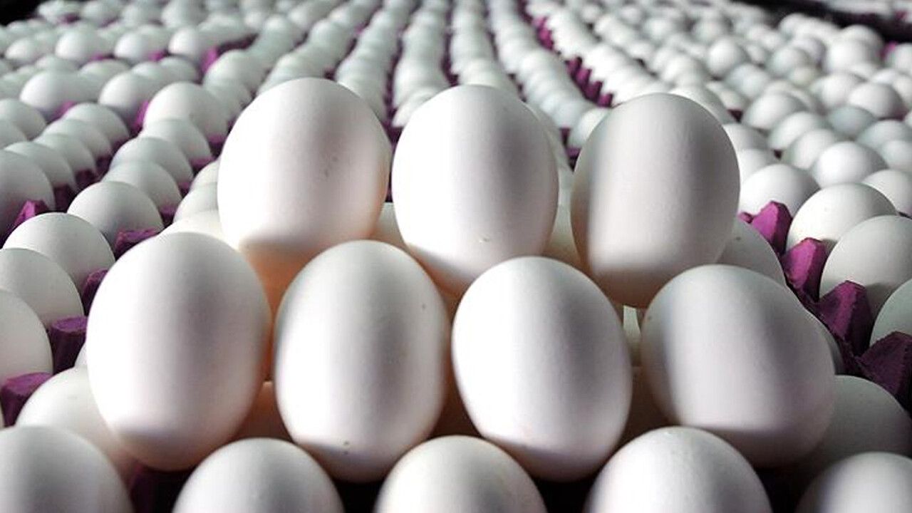 Rekabet Kurulu&#039;ndan yumurta üreticilerine 98 milyon TL&#039;lik &#039;kartel&#039; cezası