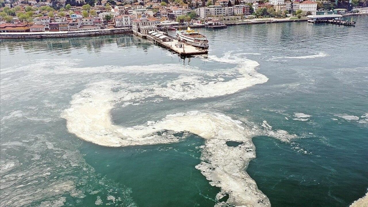 Marmara Denizi alarm veriyor! Müsilaj kabusu geri mi döndü?