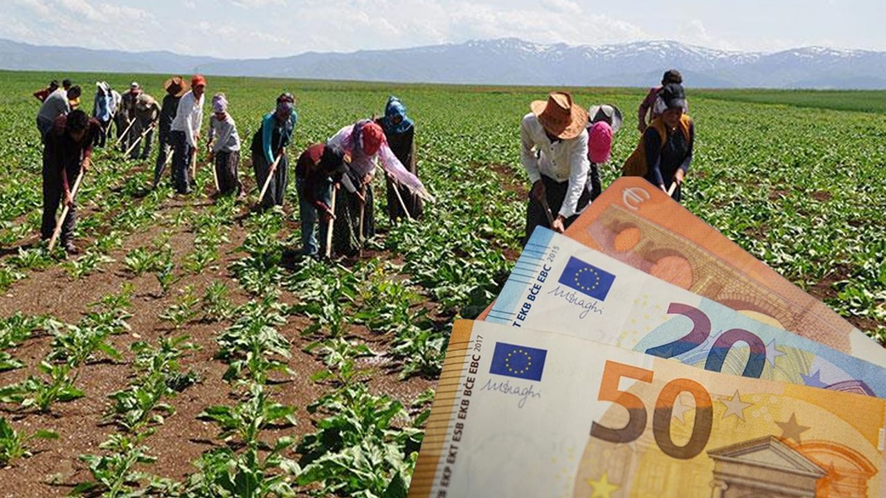 Türkiye de listede! Ayda 3 bin euro maaş ile Avrupa&#039;nın göbeğine tarım işçisi alacaklar