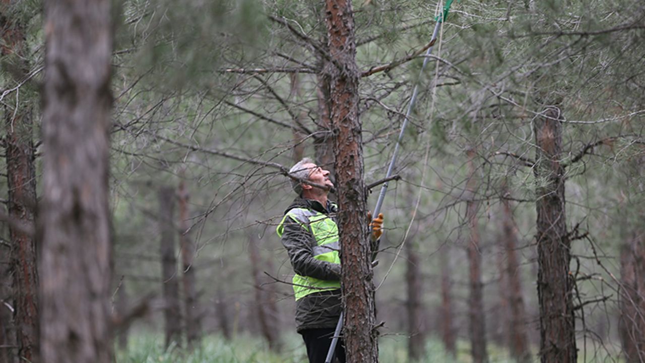 Antalya ormanlarını artık &#039;terminatör&#039;ler koruyacak
