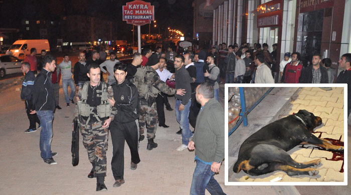 Tunceli&#039;de polisle halk arasında köpek kavgası