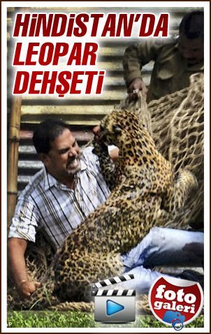 Hindistan&#039;da leopar paniği