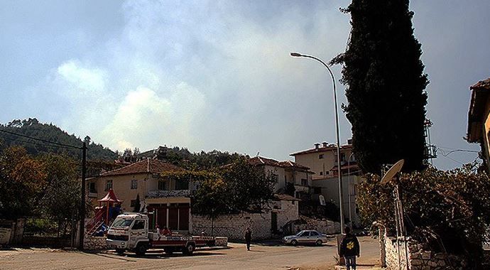 Türkiye-Suriye sınırında orman yangını