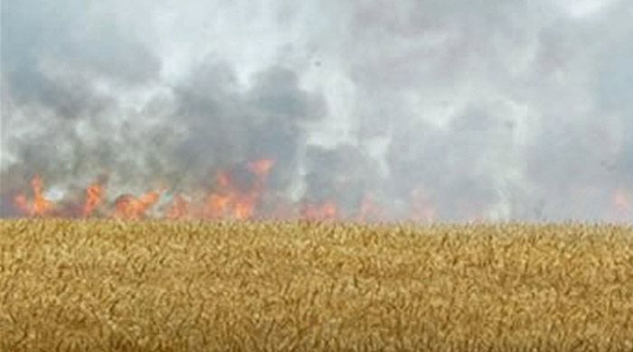 Esad, halkın buğday tarlalarını yakıyor