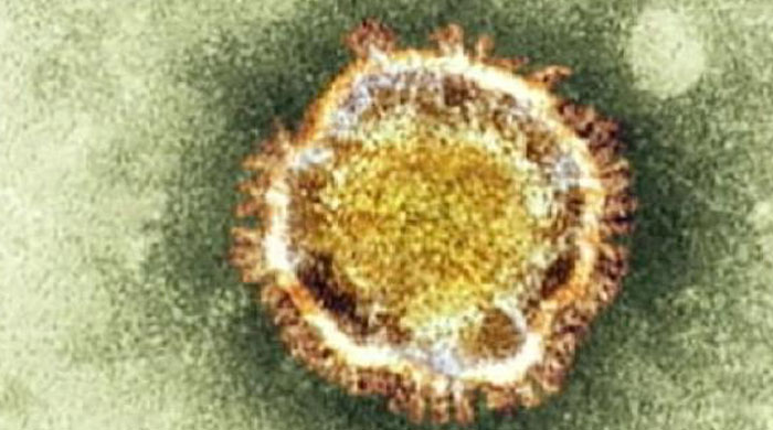Fransa&#039;da Corona virüsü öldürdü