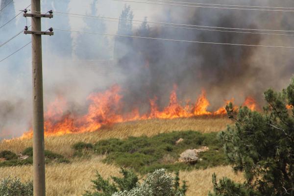 İzmir Manisa yangını söndürülemiyor