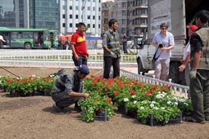 Gezi Parkı&#039;na şuan 152 bin çiçek dikiliyor