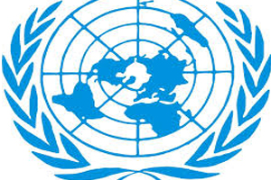 Birleşmiş Milletler&#039;den Gezi açıklaması