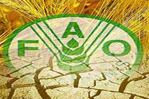 Türkiye, FAO Konseyi Üyeliğine seçildi