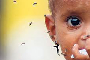 Sivrisinekler dehşet saçtı, 59 ölü
