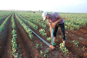 Tarsuslu çiftçiye 22 milyon ödeme yapıldı