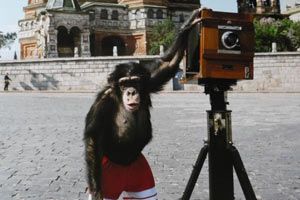 Şempanzenin çektiği fotoğrafa 76 bin dolar