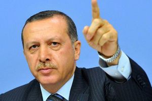 Başbakan Erdoğan, Gezi Parkı olayları hakkında konuşacak