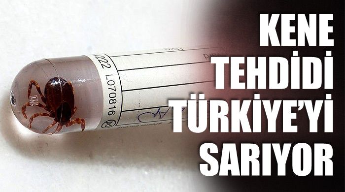 Kene tehdidi Türkiye&#039;yi sarıyor
